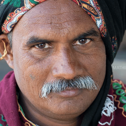 gujarati translation